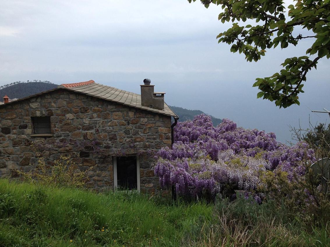 Cottage La Torre Del Pittore Bonassola Exterior foto